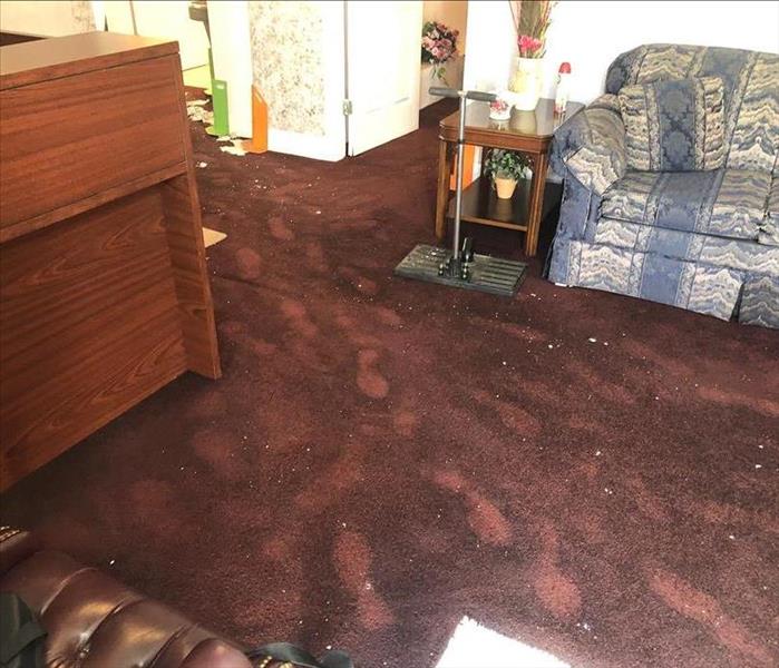 Footprints on water drenched carpet in living room of Fernandina Beach condo