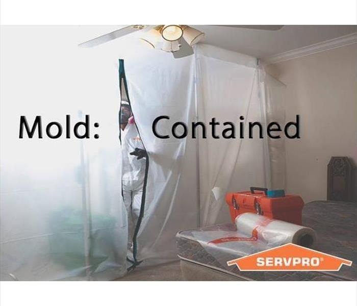 mold containment area with technician in background